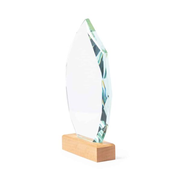 Placa Pulman - Imagen 2