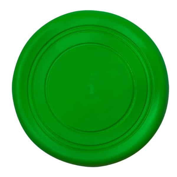 Frisbee Girud - Imagen 4