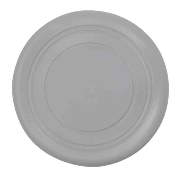 Frisbee Girud - Imagen 3