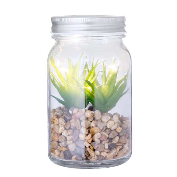Planta Decorativa Kyala - Imagen 3