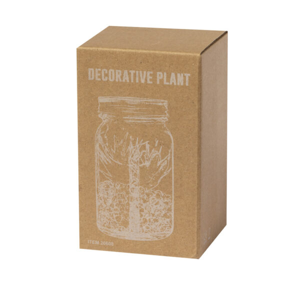Planta Decorativa Kyala - Imagen 7