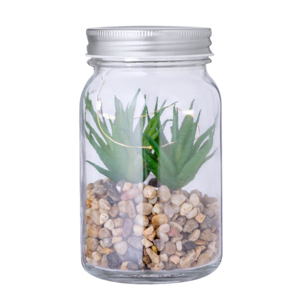 Planta Decorativa Kyala - Imagen 2
