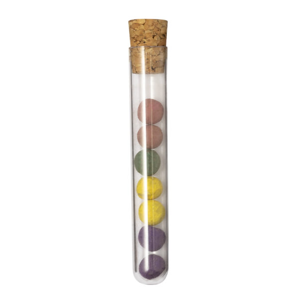 Set Bombónes Semillas Dinaclex - Imagen 4