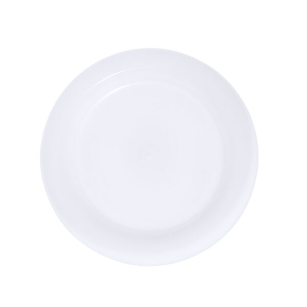 Plato Grisen - Imagen 4