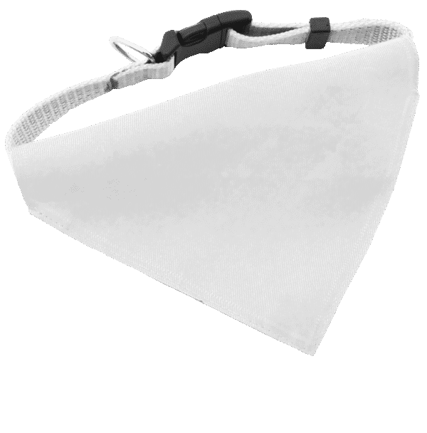 Collar Bandana Roco - Imagen 10
