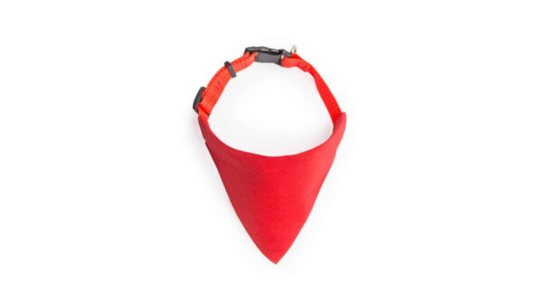 Collar Bandana Roco - Imagen 3