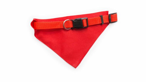 Collar Bandana Roco - Imagen 4