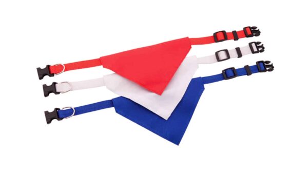 Collar Bandana Roco - Imagen 5
