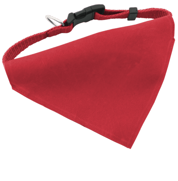 Collar Bandana Roco - Imagen 11