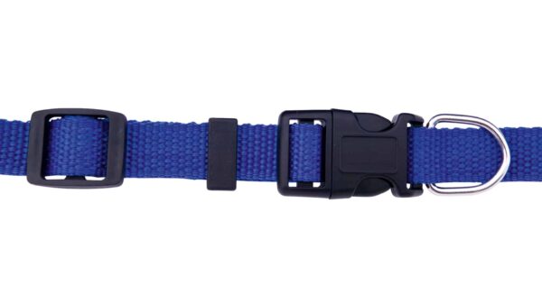 Collar Bandana Roco - Imagen 8