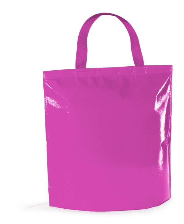 Bolsa Nevera Hobart - Imagen 14