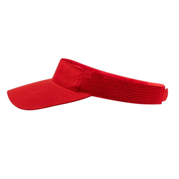 Visera Gonnax - Imagen 2