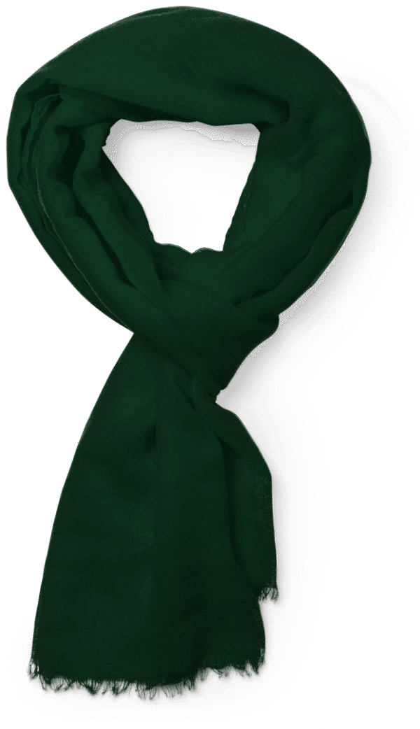 Foulard Ribban - Imagen 15