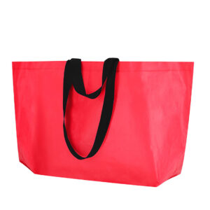 Bolsa Torvik