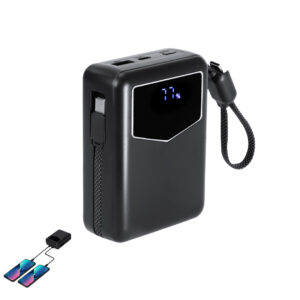 Power Bank Evron